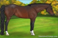 Horse Color:Brown 