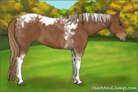 Horse Color:Chestnut Tobiano 