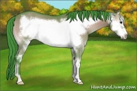 Horse Color:Watercolor Grullo Onyx Frame 