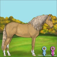Horse Color:Palomino 
