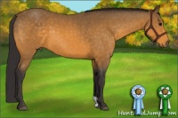 Horse Color:Buckskin 