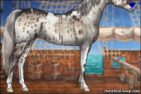 Horse Color:White Spotted Silver Brown Onyx 