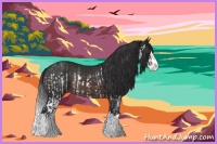 Horse Color:Brown Splash Rabicano  and Brown Sabino Splash Rabicano 