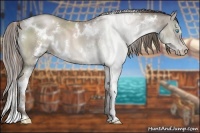 Horse Color:White Spotted Grullo Pearl Sabino