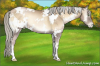 Horse Color:White Spotted Chocolate Palomino Pearl Onyx 