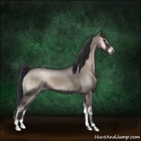 Horse Color:Grullo Onyx Brindle 
