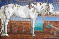 Horse Color:White Spotted Liver Red Dun Mushroom Near Leopard Rabicano Brindle