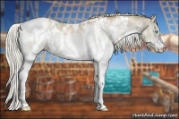 Horse Color:White Spotted Chocolate Palomino Pearl Splash Appaloosa