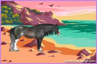 Horse Color:Brown Sabino Rabicano