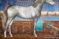 Horse Color:White Spotted Liver Red Dun Sabino 