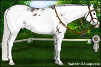 Horse Color:Silver Black Sabino 