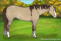 Horse Color:Liver Red Dun Splash 