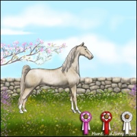 Horse Color:Chocolate Palomino Pearl Dun Sabino