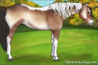 Horse Color:Liver Red Onyx Tobiano Rabicano 