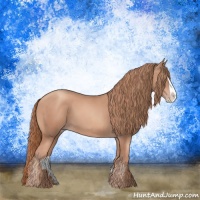 Horse Color:Gold Champagne Splash 