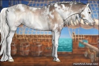 Horse Color:White Spotted Liver Red Onyx Ice Splash Rabicano 