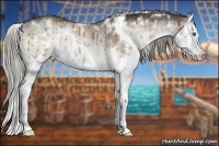 Horse Color:White Spotted Liver Red Dun Onyx Splash Rabicano