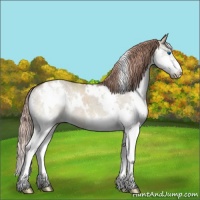 Horse Color:White Spotted Liver Red Dun Splash Rabicano
