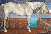 Horse Color:White Spotted Chocolate Palomino Dun