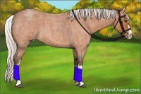 Horse Color:White Spotted Silver Bay Roan Splash Rabicano 