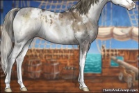 Horse Color:White Spotted Liver Red Dun Onyx Splash Rabicano