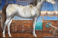 Horse Color:White Spotted Liver Red Dun Ice Pearl Onyx Rabicano