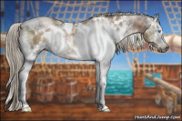 Horse Color:Gray White Spotted Chocolate Palomino Pearl Rabicano 
