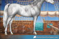 Horse Color:White Spotted Chocolate Silver Grullo Chinchilla Ice Splash Brindle