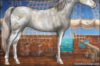 Horse Color:White Spotted Chocolate Palomino Ice Pearl