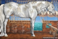 Horse Color:White Spotted Chocolate Palomino Dun Splash 