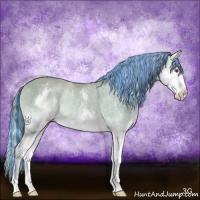 Horse Color:Painted Silver Amber Cream Champagne Chinchilla Onyx Splash Rabicano Brindle