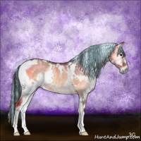 Horse Color:Painted White Spotted Buckskin Onyx Rabicano