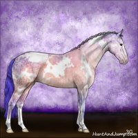 Horse Color:Watercolor White Spotted Buckskin Ice Sabino Appaloosa