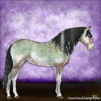 Horse Color:White Spotted Brown Ice Onyx Mushroom