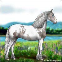 Horse Color:Liver Chestnut Splash Tobiano 