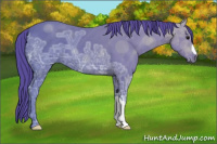 Horse Color:Watercolor Black Ice 