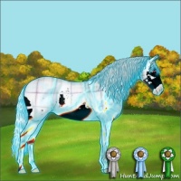 Horse Color:Thunderstruck Plaid  Silver Sable Champagne Chinchilla Onyx Sabino Splash Rabicano 