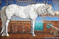 Horse Color:White Spotted Liver Red Dun Ice Splash Tobiano 