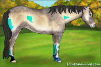 Horse Color:Liver Red Onyx Ice 