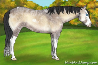 Horse Color:Brown Ice Roan Onyx Splash 