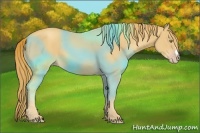 Horse Color:Gold Champagne 