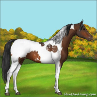 Horse Color:Brown Tobiano Snowcap 
