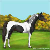 Horse Color:Gray Liver Chestnut Tobiano Varnish 