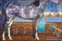 Horse Color:Painted Plaid  White Spotted Bay Dun Brindle 