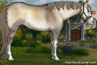 Horse Color:Liver Red Dun Onyx Sabino Brindle 