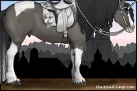 Horse Color:Grullo Splash Tobiano 