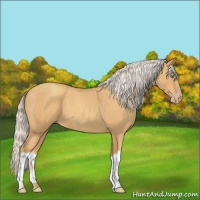 Horse Color:Silver Amber Champagne Roan 