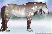 Horse Color:White Spotted Chocolate Brown Chinchilla Rabicano