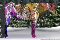 Horse Color:Grullo Appaloosa 