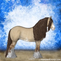 Horse Color:Liver Red Dun Sabino Rabicano
